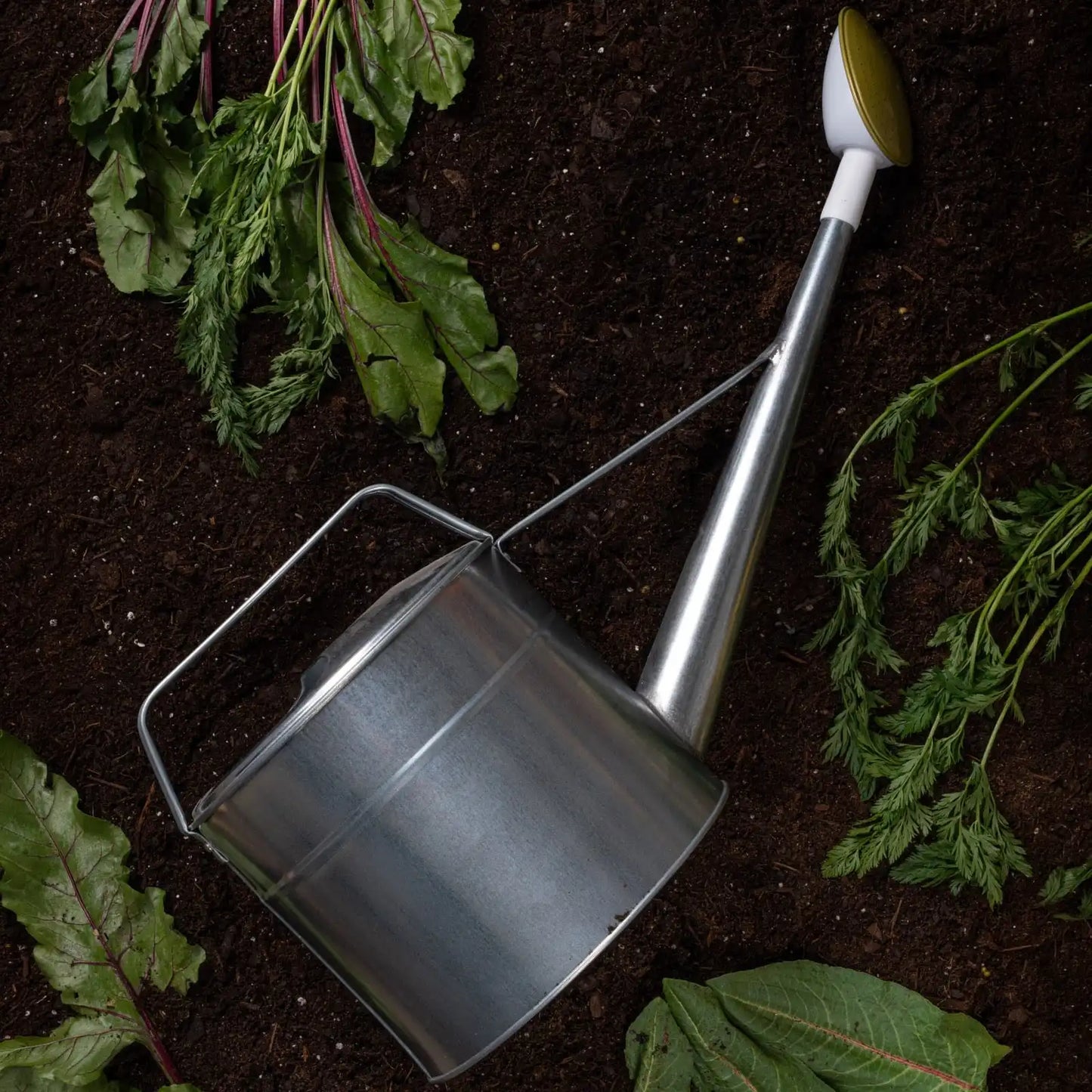 Japanese Watering Can