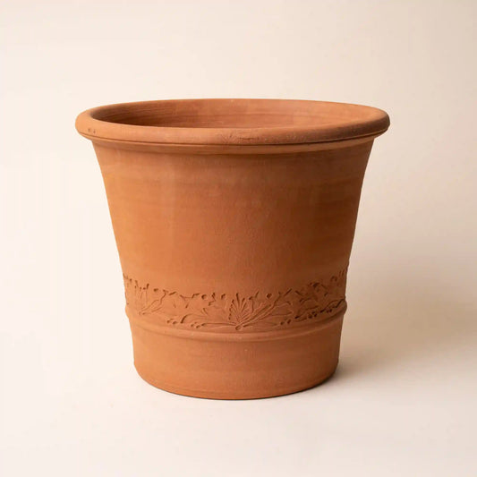 East Fork x Whichford Garden Buxus Pot