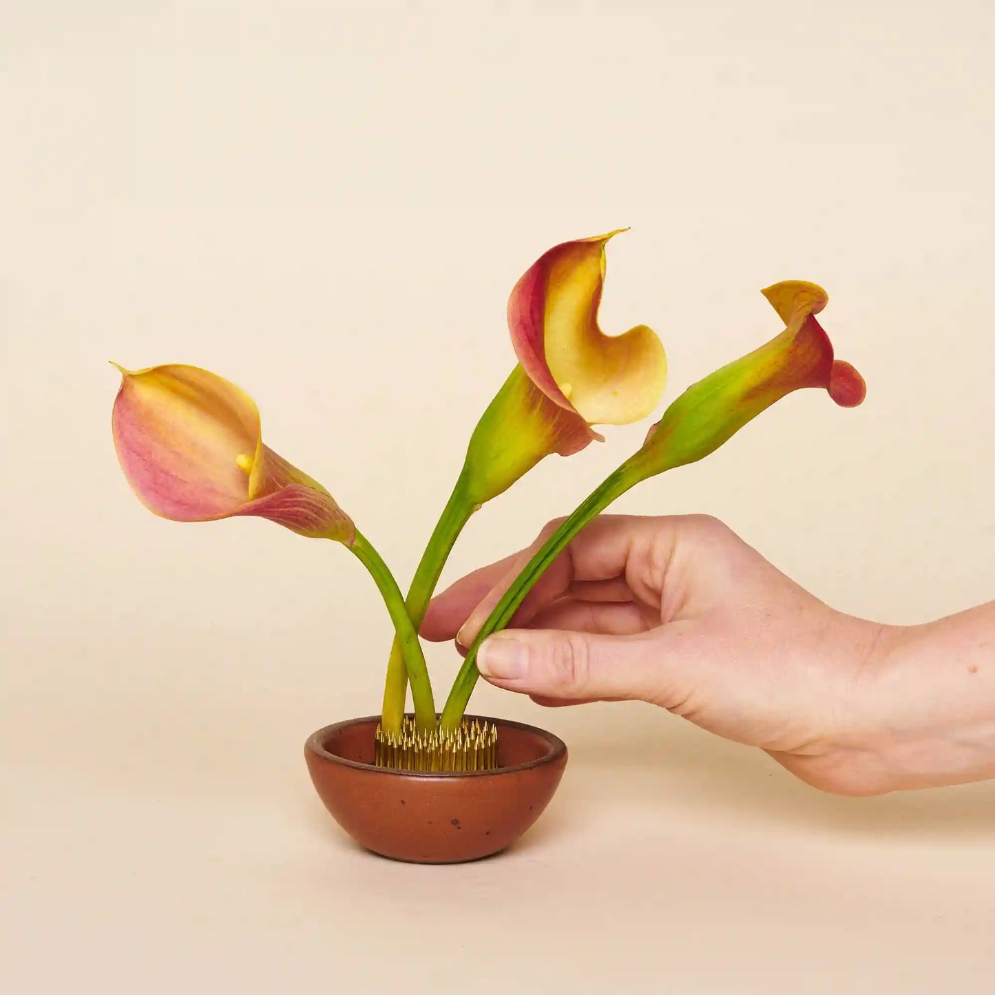 Flower Frogs