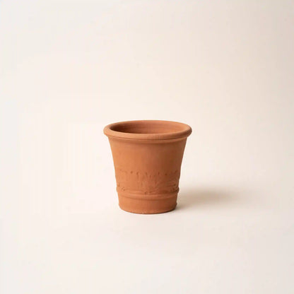 East Fork x Whichford Garden Buxus Pot